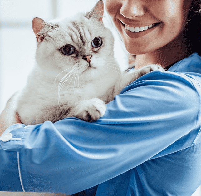 Best Veterinary Clinic in Woodland Park, Colorado