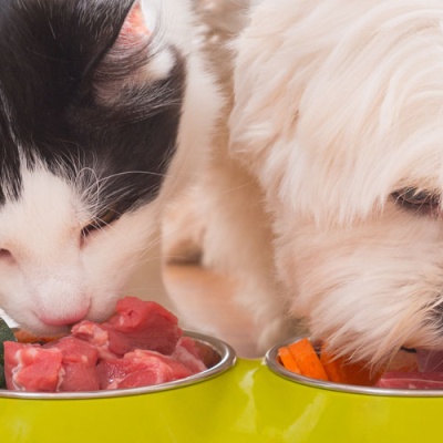 national-raw-feeding-week-importance-of-nutritional-counseling-and-raw-feeding-for-pets-banner